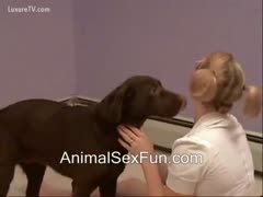Cute pig tails hotwife acquires twat licking from sexually excited dog